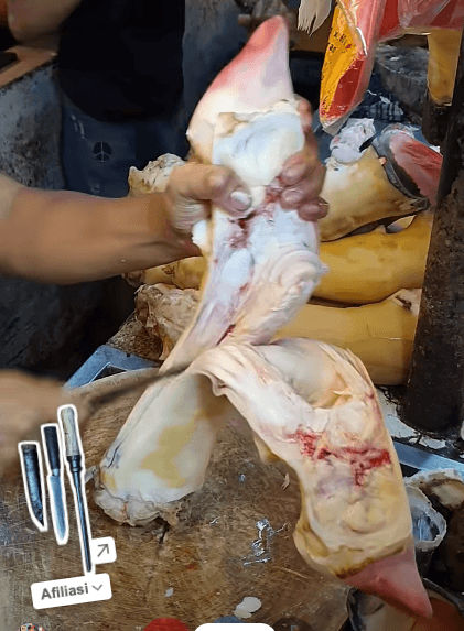 Opening a cow's hoof has never been easier!
